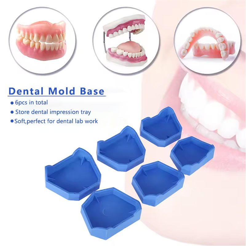 2/6 pçs modelo dental base de  - Teeth Whitening Trays avaliação e preço