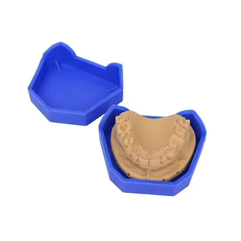 2/6 pçs modelo dental base de  - Teeth Whitening Trays avaliação e preço
