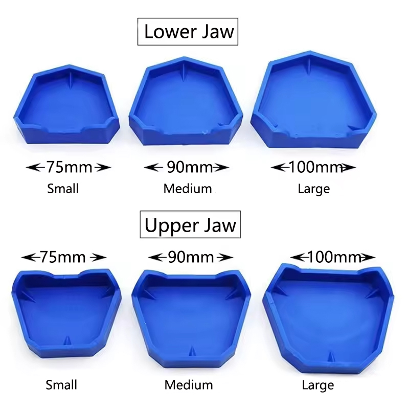 2/6 pçs modelo dental base de  - Teeth Whitening Trays avaliação e preço