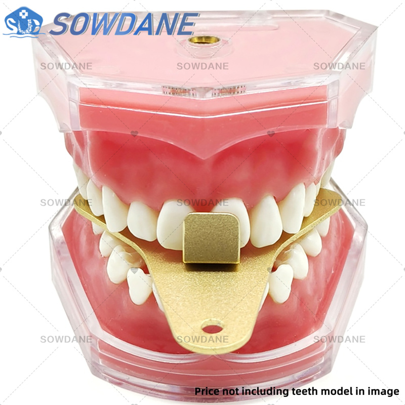 Bandejas de impressão de labor - Teeth Whitening Trays avaliação e preço