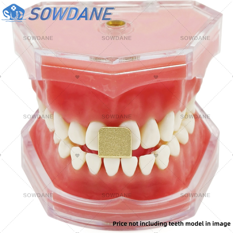 Bandejas de impressão de labor - Teeth Whitening Trays avaliação e preço