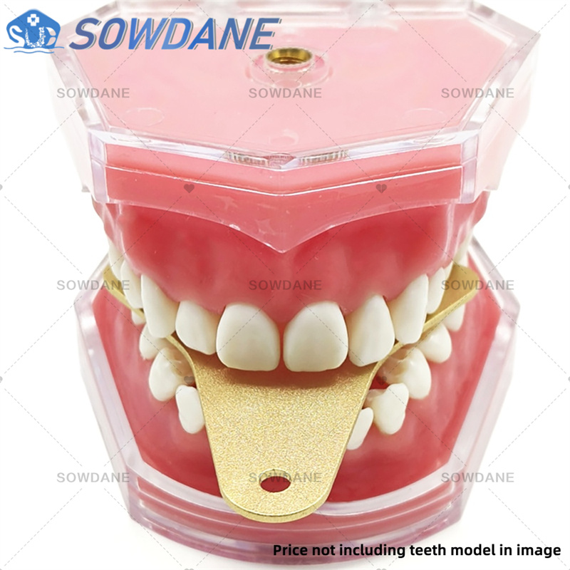 Bandejas de impressão de labor - Teeth Whitening Trays avaliação e preço