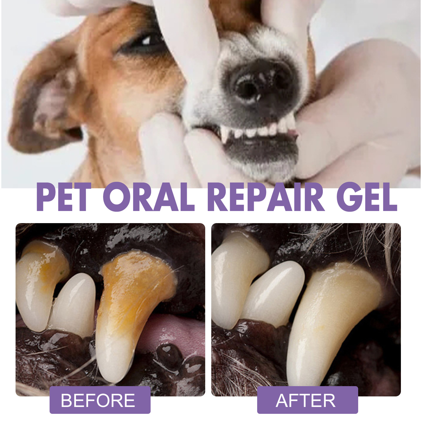 Gel de reparação oral para ani - Teeth Whitening Gel Peroxide avaliação e preço
